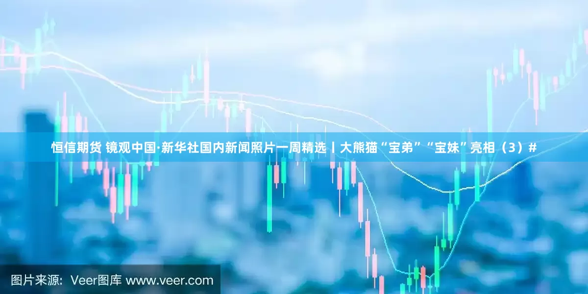 恒信期货 镜观中国·新华社国内新闻照片一周精选丨大熊猫“宝弟”“宝妹”亮相（3）#