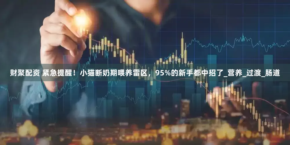 财聚配资 紧急提醒！小猫断奶期喂养雷区，95%的新手都中招了_营养_过渡_肠道