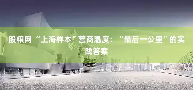 股粮网 “上海样本”营商温度：“最后一公里”的实践答案