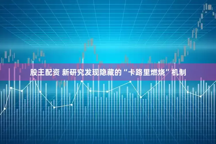 股王配资 新研究发现隐藏的“卡路里燃烧”机制