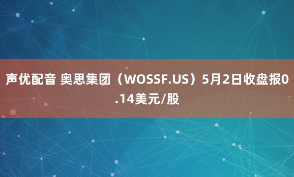 声优配音 奥思集团（WOSSF.US）5月2日收盘报0.14美元/股